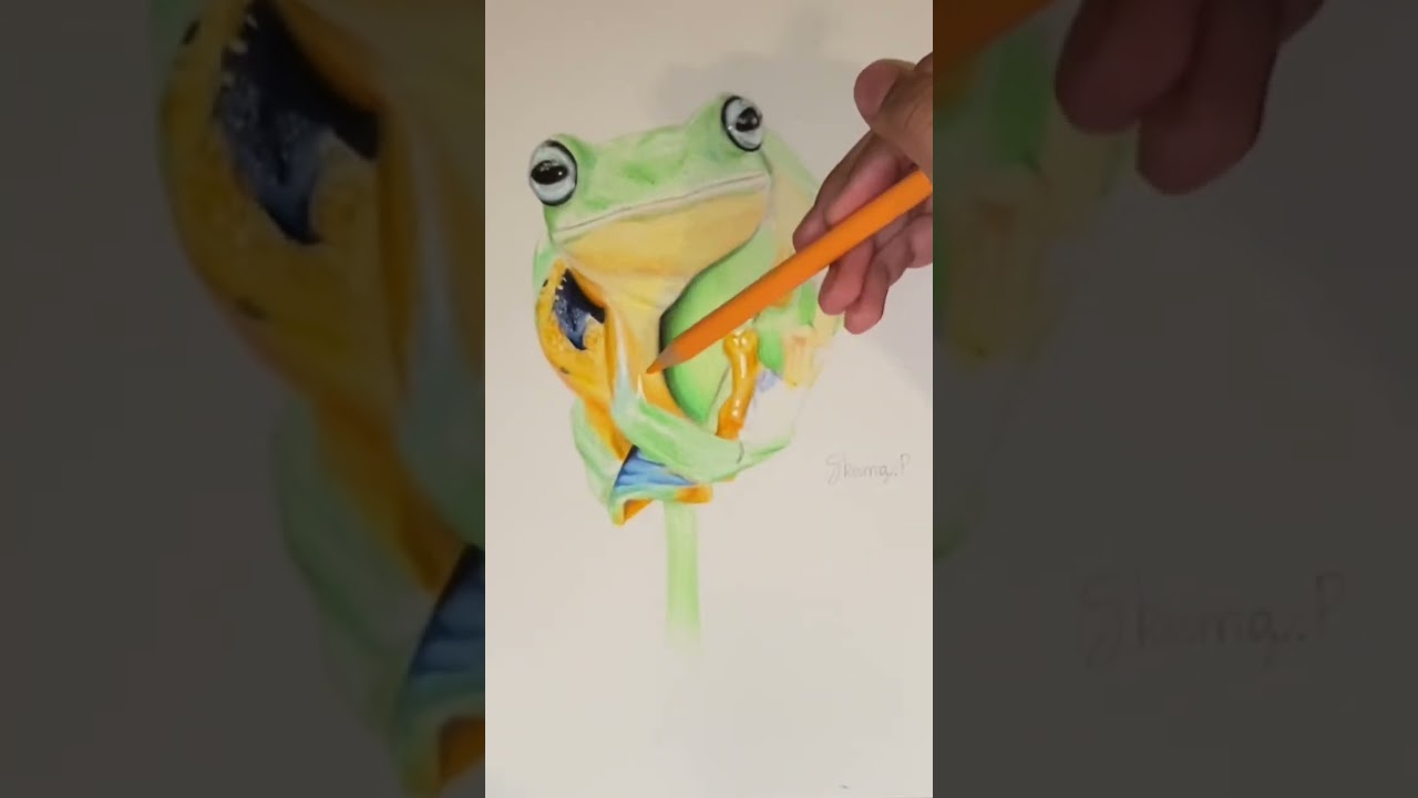 𝐑𝐞𝐚𝐥𝐢𝐬𝐭𝐢𝐜 𝐭𝐫𝐞𝐞 𝐟𝐫𝐨𝐠 🐸 drawing | Strathmore Bristol paper | polychromos pencils