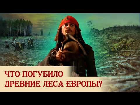 Что погубило древние леса Европы?