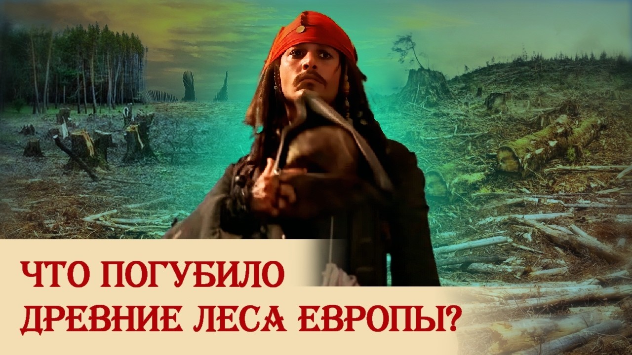 Что погубило древние леса Европы?