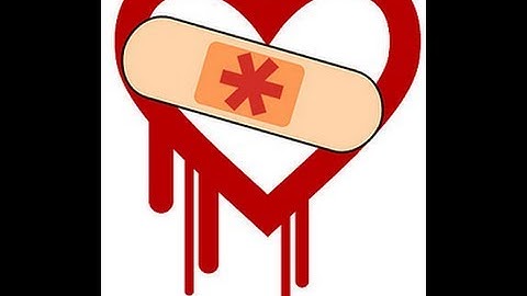 Esxi 5.5.0 HeartBleed Patch (Spanish)