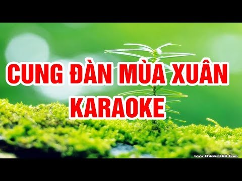 Karaoke Cung Đàn Mùa Xuân - Cung Đàn Mùa Xuân ( Remix ) - Karaoke Beat Chuẩn Nhạc Sống Thanh Ngân