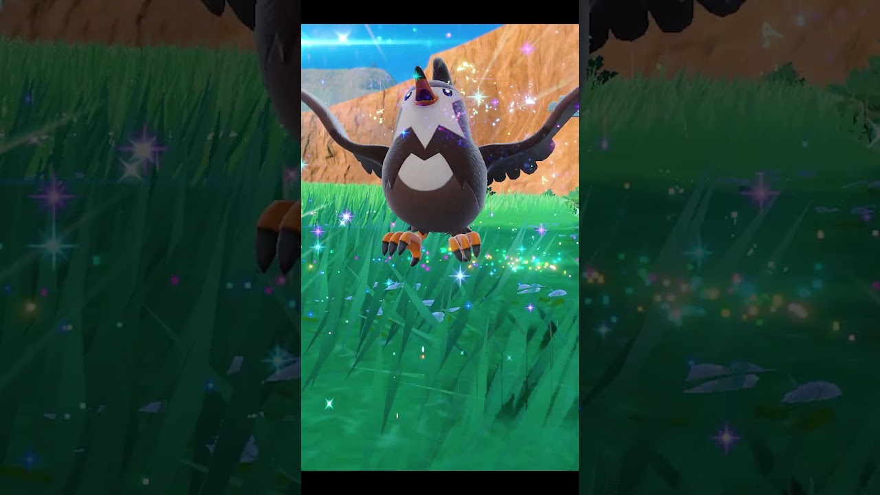 🌟Shiny Starly Evolved Into Shiny Staravia!🌟 Pokemon Violet