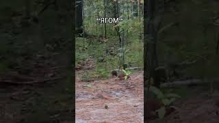 "ЯГОМ"