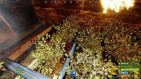 Rust warbandits Hacker ALLENC6