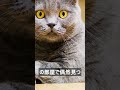 [人生の教訓] 「息子に叱られる私を見て、ほくそ笑む嫁。この家で、私は一人ぼっち…」70歳、孤独な涙 #shorts