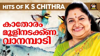 കെ എസ് ചിത്രയുടെ അനശ്വര ഗാനങ്ങൾ | K. S. Chithra | Malayalam Evergreen Songs