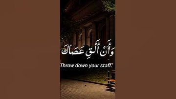 سورة القصص ☘️ بصوت القارئ ياسر الدوسري #قرآن #quran #ياسر_الدوسري #القرآن_الكريم