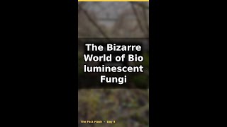 The Bizarre World of Bioluminescent Fungi #fungi #Shorts