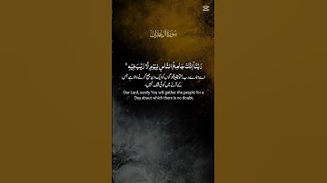 القارئ محمد الفقيه by سورة آل عمران