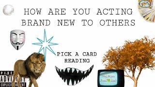 Download Lagu (PICK A CARD) HOW ARE YOU ACTING BRAND TO OTHERS ? MP3