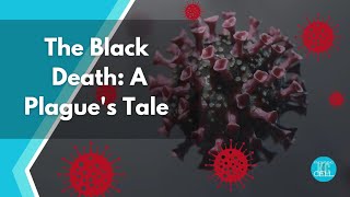 Chronicles of Desolation: The Plague's Unforgettable Tale