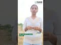 Sirri Nandini’s Internship Journey at Insecticides India Limited | ISAB Student