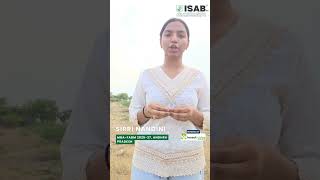 Sirri Nandini’s Internship Journey at Insecticides India Limited | ISAB Student