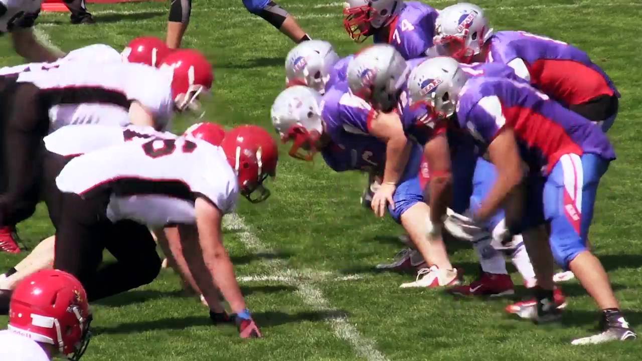 Berlin Bears Trailer 2016