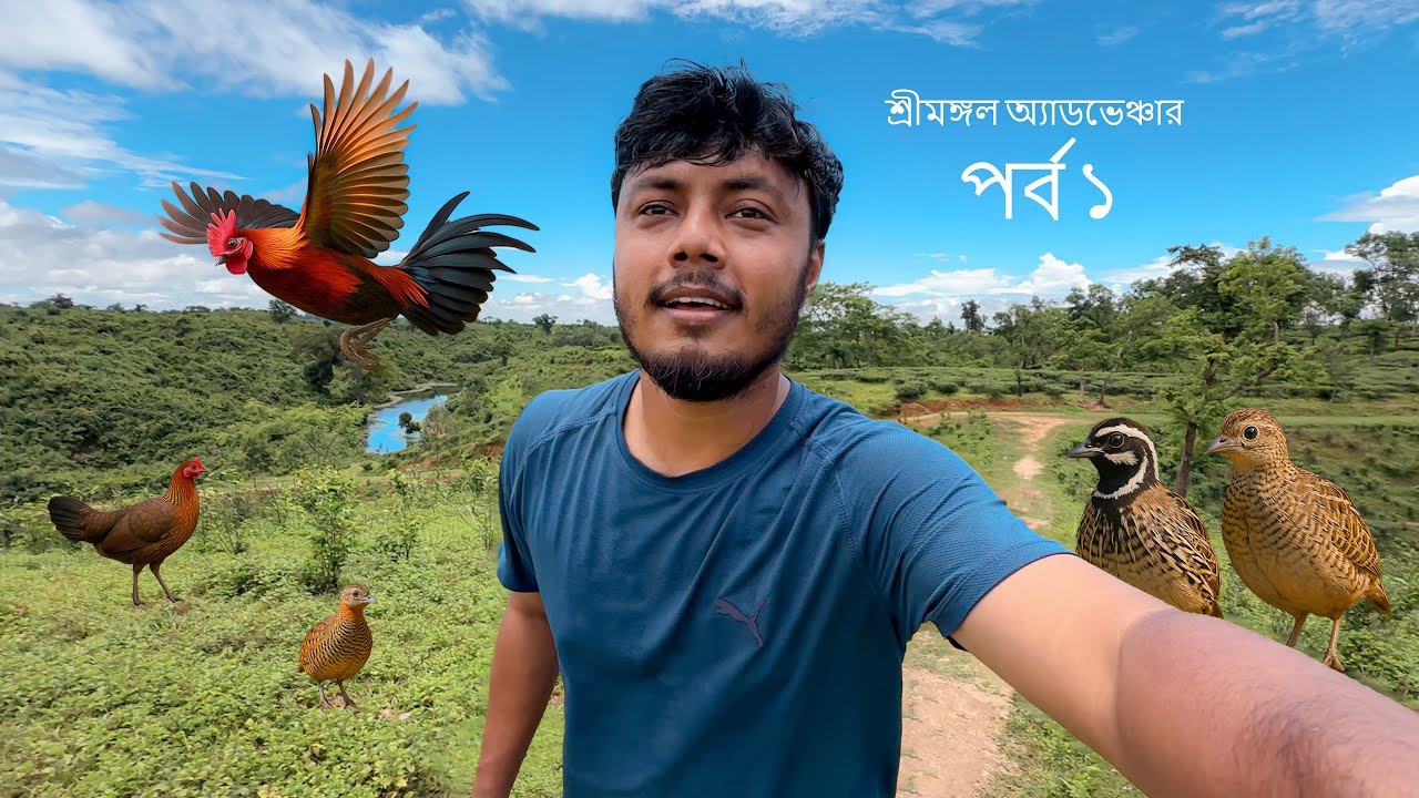 জঙ্গলের গভীরে ৩ দিন: বন্য কোয়েল ও বন মুরগির খোঁজে!