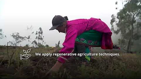 FAIRFRUIT: OUR SUSTAINABILITY STRATEGY