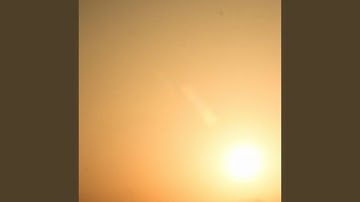 سورة المسد