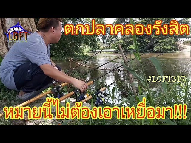 หมายนี้ไม่ต้องเอาเหยื่อมา!!! ตกปลาหน้าดินคลองรังสิต ปลาแขยงตามสั่งเมีย #LGFT317
