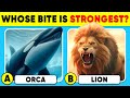 How Well Do You Know Animals? 🐳🦁✅ General Knowledge Trivia Quiz Mp3 Song