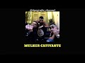 MC Paulin da Capital, MC Lipi e DJ GM - Mulher Cativante //Letra | Legendado//