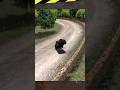 💩 360° 🗿 ,,, rally fury