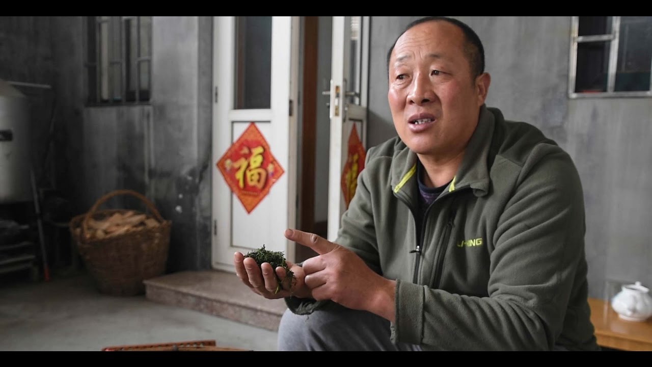 Laoshan Tea lifts up the region