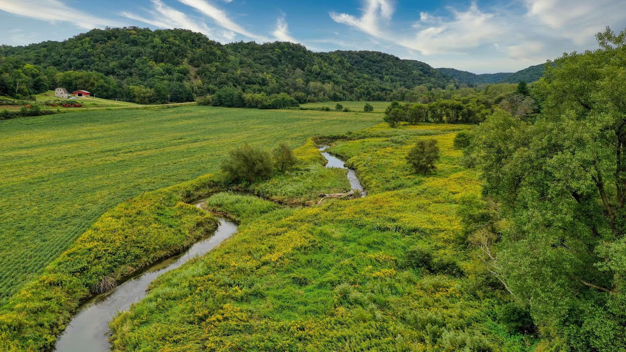 65 Acres with Natural Creek in Ferryville Wisconsin YouTube