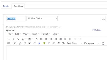 Allow Flash in Canvas Recording