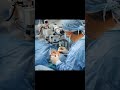 Before Modern Doctors… There Was Sushruta! #shortvideo #fatherofsurgery