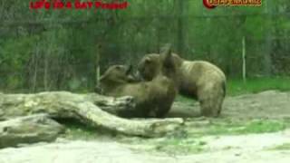 Igor Ostapenko For Life In A Day Part1