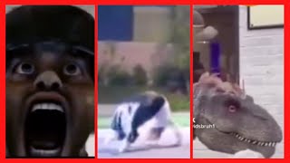 Tik Toks Only For Serious Laughers