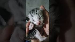 çok dadlular yaaa❤️❤️❤️❤️🥰🥰🥰