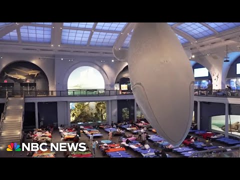 Good News: American Museum of Natural History’s ‘Night at the Museum’ returns