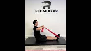 Face Pulls - Banded Shoulder and Upper Back Exercise