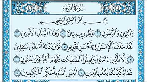 الطفل سفيان الصياد المصحف المرتل سورة التين 😍