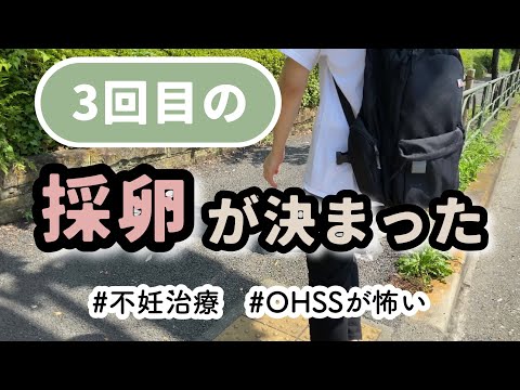 【不妊治療】3回目の採卵がきまった！顕微授精一択。