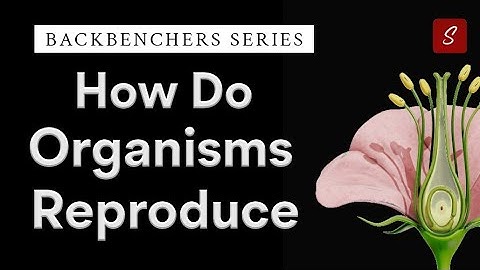 How Do Organisms Reproduce | Class 10 full Chapter | Class 10 Science Chapter 7 in Animation