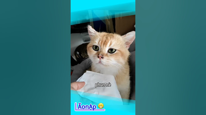 Ở đây chúng tôi không làm như vậy 🤣 #laonap