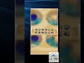 Classic Mancala | Made in USA | Wooden Board Games