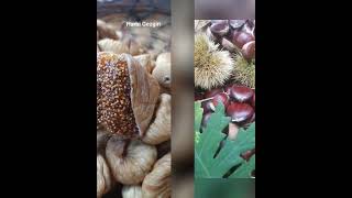 Onur Akin 🌲 Yağmur Yürekli̇m 🙋
