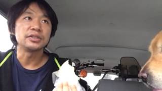 フェリー降りてこのまま山梨に買取にいきます