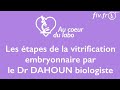 Les tapes de la vitrification dun embryon