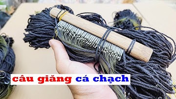 Bộ câu giăng cá chạch, cá chạch lấu hiệu quả, giao hàng toàn quốc