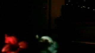 IMAG0037.AVI