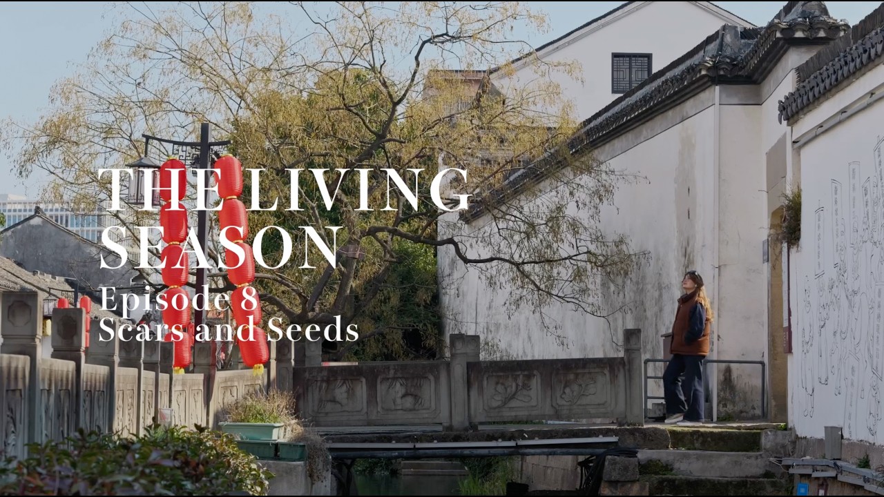 Кинцуги в Ханчжоу |  Садим овощи на ферме | Травмы и надежды | Квартал Чанхэ | Встречаем весну