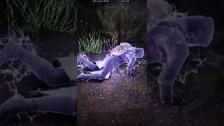 Pop goes the Lucy | #shorts #skyrim #elderscrolls #tes5
