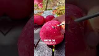 El rojo de la manzana no es solo genética