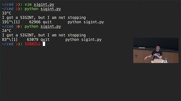 Lecture 5: Command-line Environment (2020)