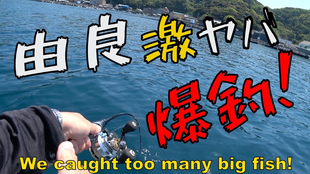 【ダンゴ釣り】ダンゴ２２投で完全終了！ノッコミ真鯛がエグすぎた！