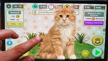 Cat Simulator 2020 #5 Cat Sim Online Game - Play with Cat Clan Pet Simulator 2020 - Android Gameplay